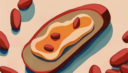 ã培åºè§£èª¬ãããŒãããã¯ãªãŒã ã®é
åãšéžã³æ¹ïŒçµ¶åã¬ã·ããã玹ä»ïŒ