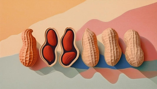 ãæ¯èŒãçããŒãããvsããŒã¹ãããŒãããïŒæ é€ãå€ããŠçŸå³ããã®ã¯ã©ã£ã¡ïŒ