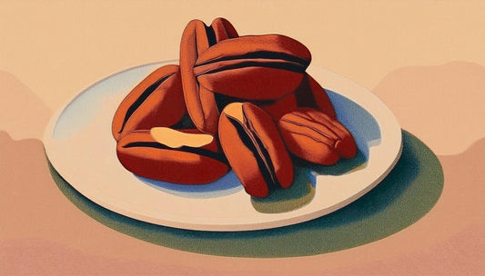 ãä¿åçãããŒã«ã³ãããã·ã§ã³ã©ã®å¥¥æ·±ãäžçïŒãã®é
åãšéžã³æ¹ã«è¿«ãïŒ