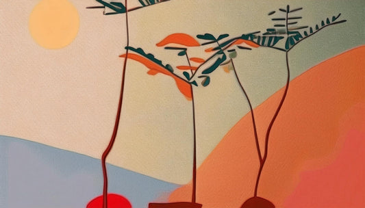 ããã©ã³ã¿ãŒã§ãOKïŒãããŒã«ã³ããããèªå®
ã§æ œå¹ïŒè²ãŠæ¹ïŒåç©«ã®ã³ãã培åºè§£èª¬ïŒ