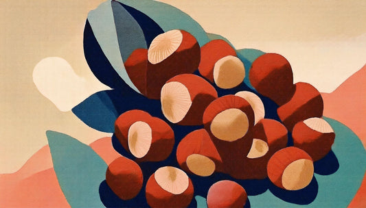 ããŒãŒã«ãããã®æ é€ãåãããïŒïœçŸèã»ãã€ãšããã»ã¢ã³ããšã€ãžã³ã°å¹æãïŒ