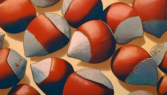 ããŒãŒã«ãããã®è²ãéãã®ã¯ãªãïŒãã®æå€ãªçç±ã解説ïŒ