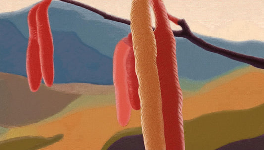 ããŒãŒã«ãããã®è±ã®ãã¹ãŠïŒç¹åŸŽããè²ãŠæ¹ãŸã§ç¥ãããæ
å ±ãæºèŒïŒãå®å
šã¬ã€ãã