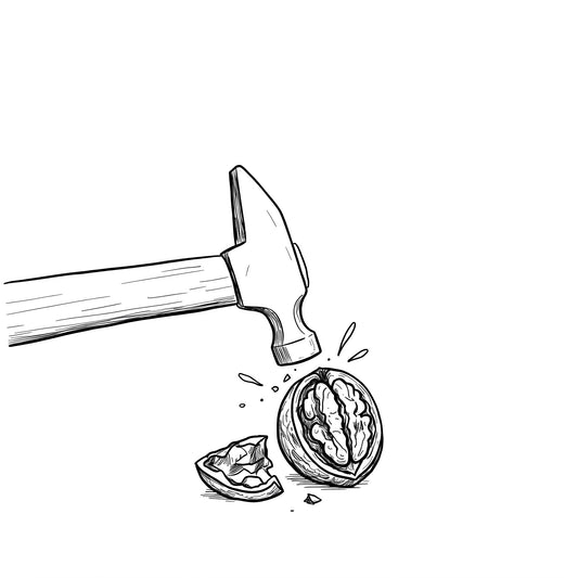 ããçŽäŒïŒããã¿ã®å®ãå·ã€ããã«å²ãã³ã