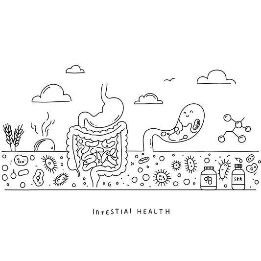 ãããã§å¿«è
žçæŽ»ïŒæ¶åãä¿ã4ã€ã®ãã€ã³ã