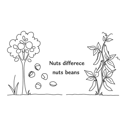 ç®ããé±ïŒããããšè±ã5ã€ã®ãã£ãŒããªéãã培åºè§£èª¬ïŒ