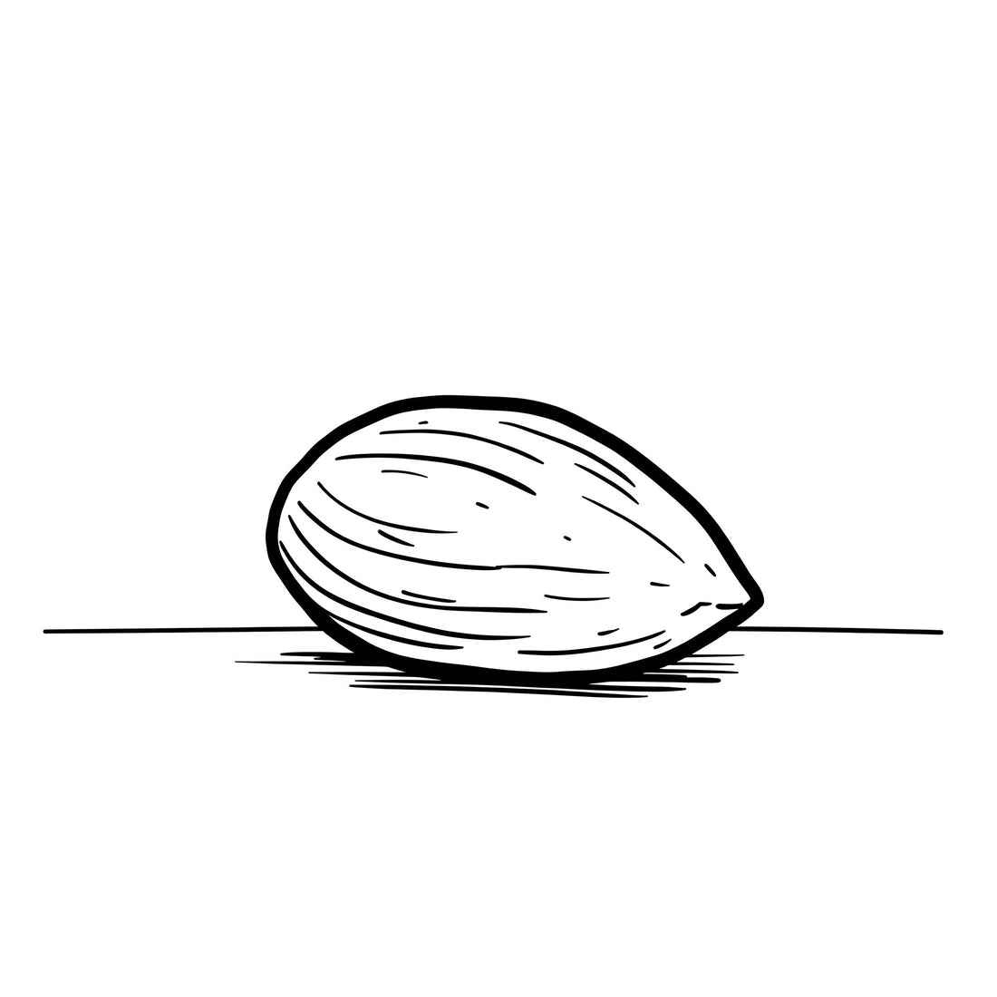 実はスゴイ!アーモンドのタンパク質パワーと健康メリット