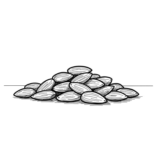 ã¢ãŒã¢ã³ãã®äºéããããïŒäœãžã®åœ±é¿ãšéžã³æ¹ã®ã³ã