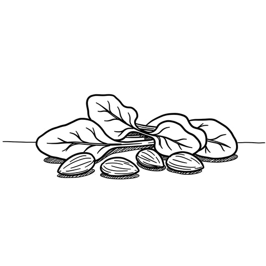 ã¢ãŒã¢ã³ãã®é£ç©ç¹ç¶éã¯ïŒé©ãã®å¹æãå°éå®¶ã解説ïŒ