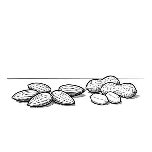 ã¢ãŒã¢ã³ããšããŒããããã©ã£ã¡ãããïŒéããåŸ¹åºæ¯èŒïŒ