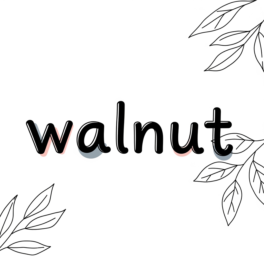 【保存版】胡桃の英語|発音から実践フレーズまで網羅