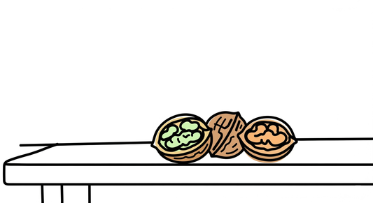 ãä¿åçãããã¿ã®çš®é¡ãå®å
šç¶²çŸ
ïŒç£å°ãç¹åŸŽããŸãããšè§£èª¬