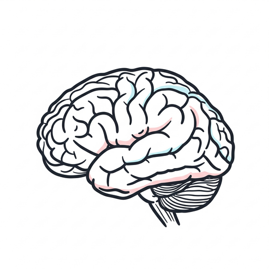 é£ã¹ãã ãã§è³ã掻æ§åïŒã¯ã«ãã®ãããåã培åºè§£èª¬