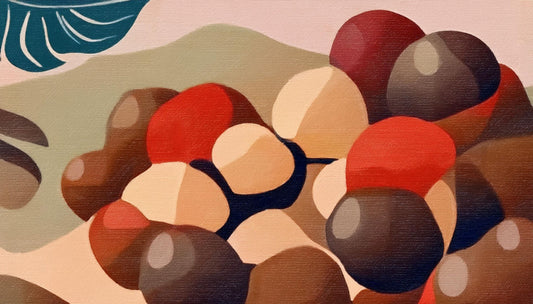 ãæ é€å£«ç£ä¿®ããã«ããã¢ãããã®æ é€å¹æã培åºè§£èª¬ïŒçŸå®¹ãšå¥åº·ã«è¯ãé©ãã®çç±ãšã¯ïŒ