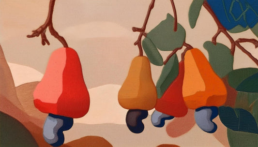 誰ãç¥ããªãã«ã·ã¥ãŒãã«ãŒãã®è¬ã培åºè§£èª¬ïŒ