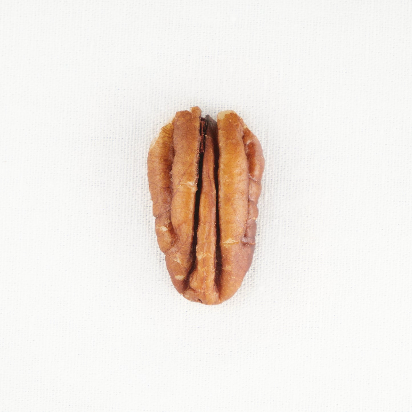 PREMIUM FANCY MAMMOTH RAW PECAN WITH NO ADDITIVES