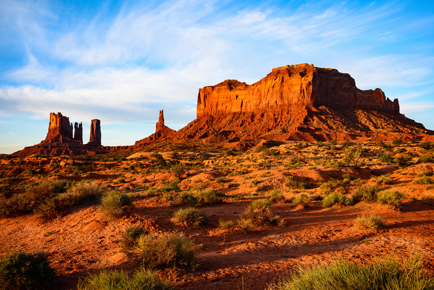 最高級品質<br>「ファンシーマンモス」