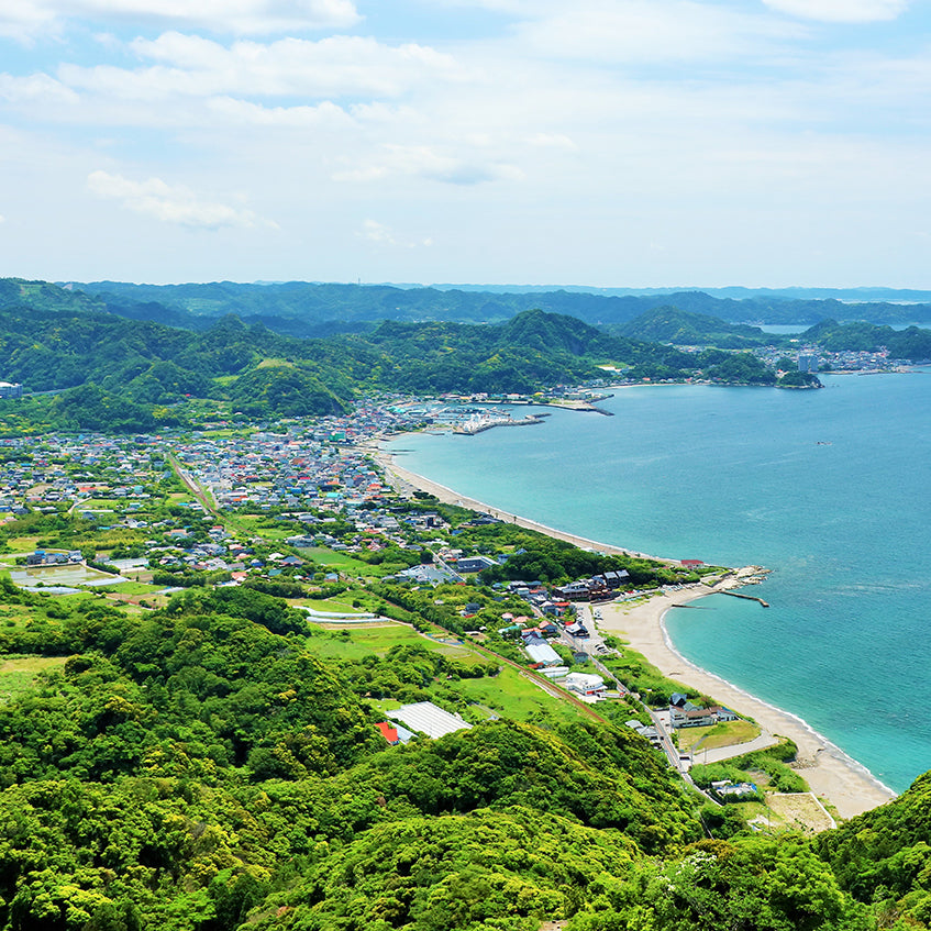 “P”を超える次世代の <br>千葉県生まれQなっつ