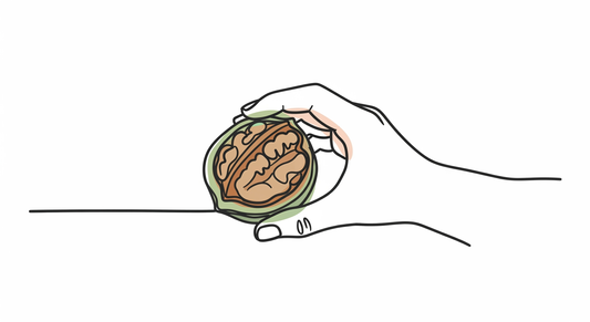 【毎日食べたい】くるみが体にいい理由を栄養士が徹底解説