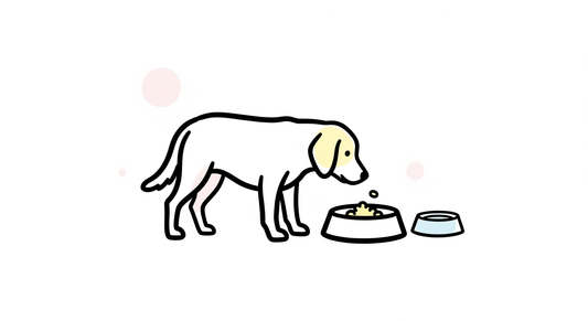 無添加ドックフードのおすすめ4選！食いつきの違いをレビュー