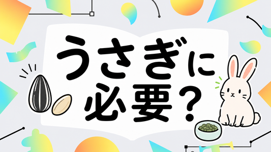 うさぎにひまわりの種は必要？適量とリスクを専門家が解説
