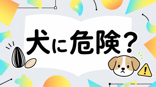 犬にひまわりの種は危険？無添加なら安全な理由と正しい与え方