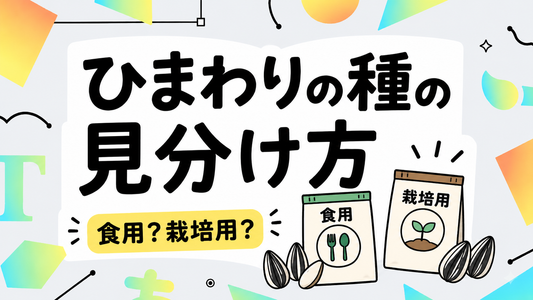 ひまわりの種の見分け方｜食用と栽培用の決定的違いと安全な選び方