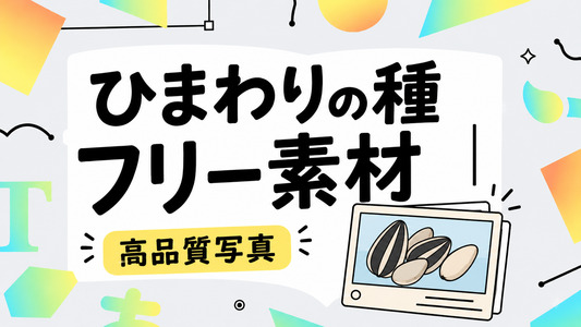 ひまわりの種フリー素材｜プロが選ぶ高品質写真の活用術