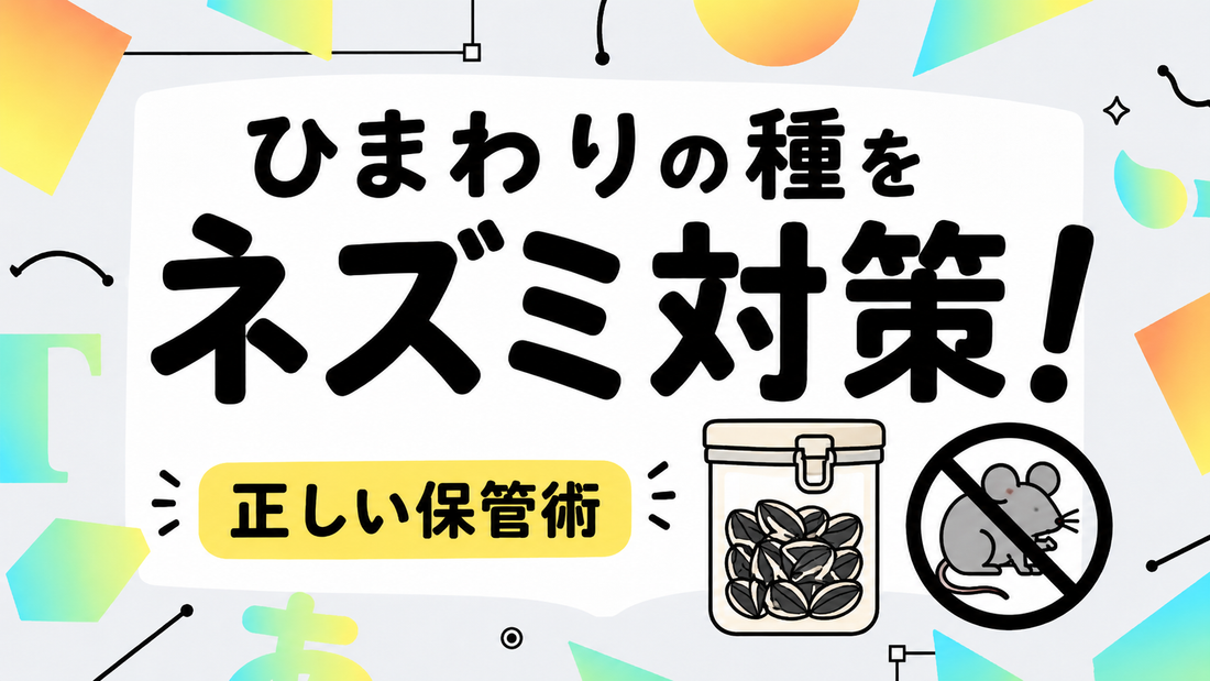 ひまわりの種をネズミから守る！被害を防ぐ正しい保管と管理術