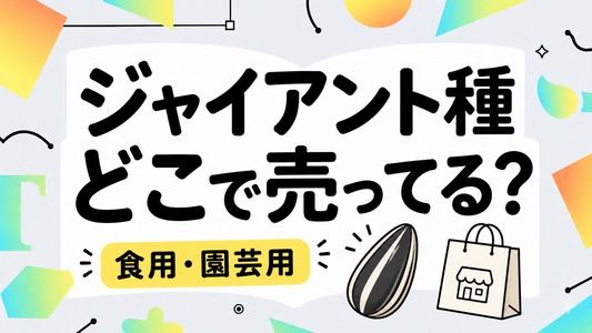 ジャイアントひまわりの種はどこで売ってる？食用と園芸用の決定的な