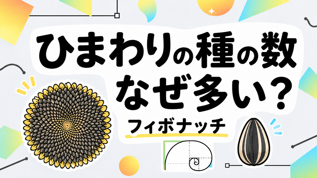 ひまわりの種の数はなぜ多い？フィボナッチ数列と自然の神秘
