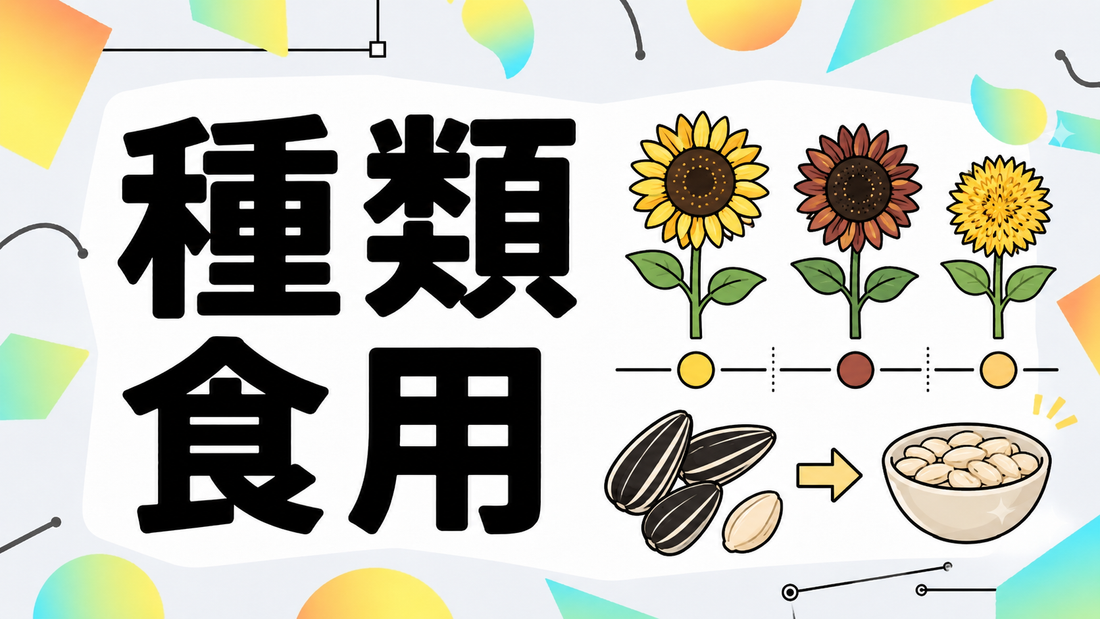 ひまわりの種類と食用種の選び方｜失敗しない見分け方と活用法