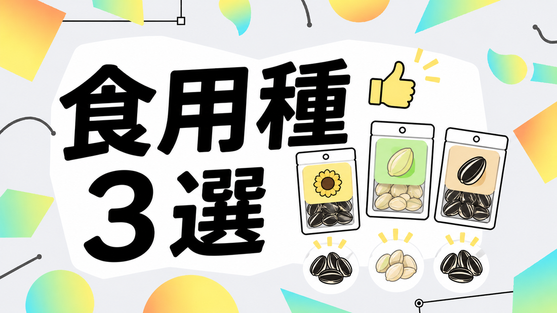 食用ひまわりの種｜プロが教える失敗しない選び方と厳選3選