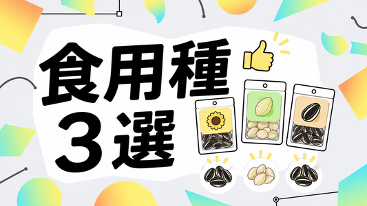 食用ひまわりの種｜プロが教える失敗しない選び方と厳選3選