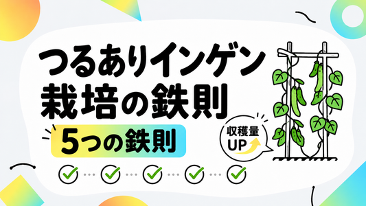 つるありインゲン栽培の失敗を防ぐ！収穫量を最大化する5つの鉄則