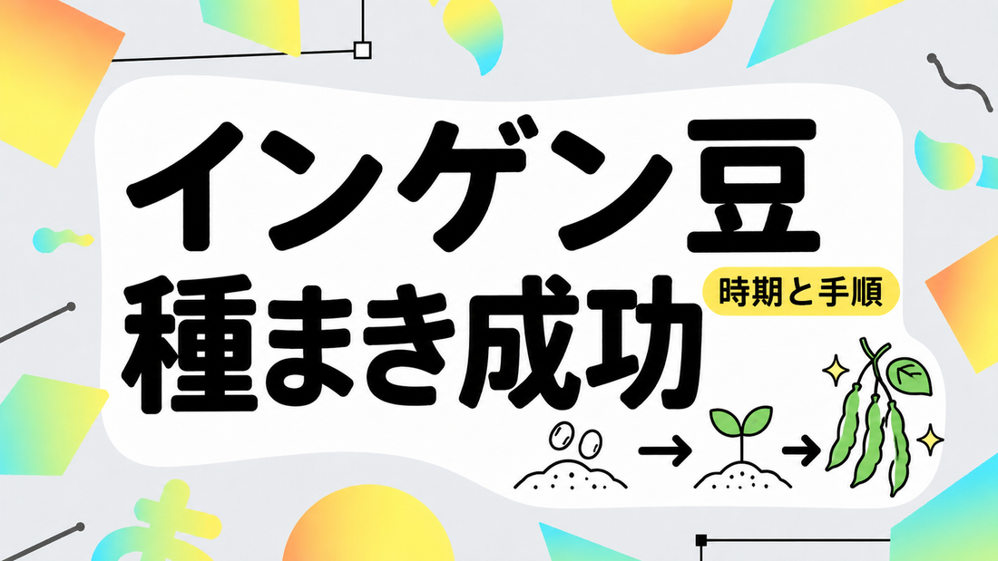 インゲン豆の種まき成功術｜失敗しない時期と収穫までの手順