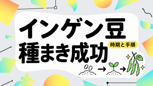 インゲン豆の種まき成功術｜失敗しない時期と収穫までの手順