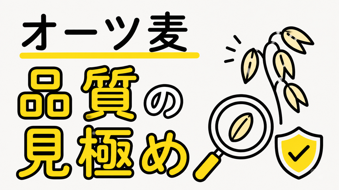 オーツ麦の選び方と栄養活用法｜失敗しない品質の見極め方