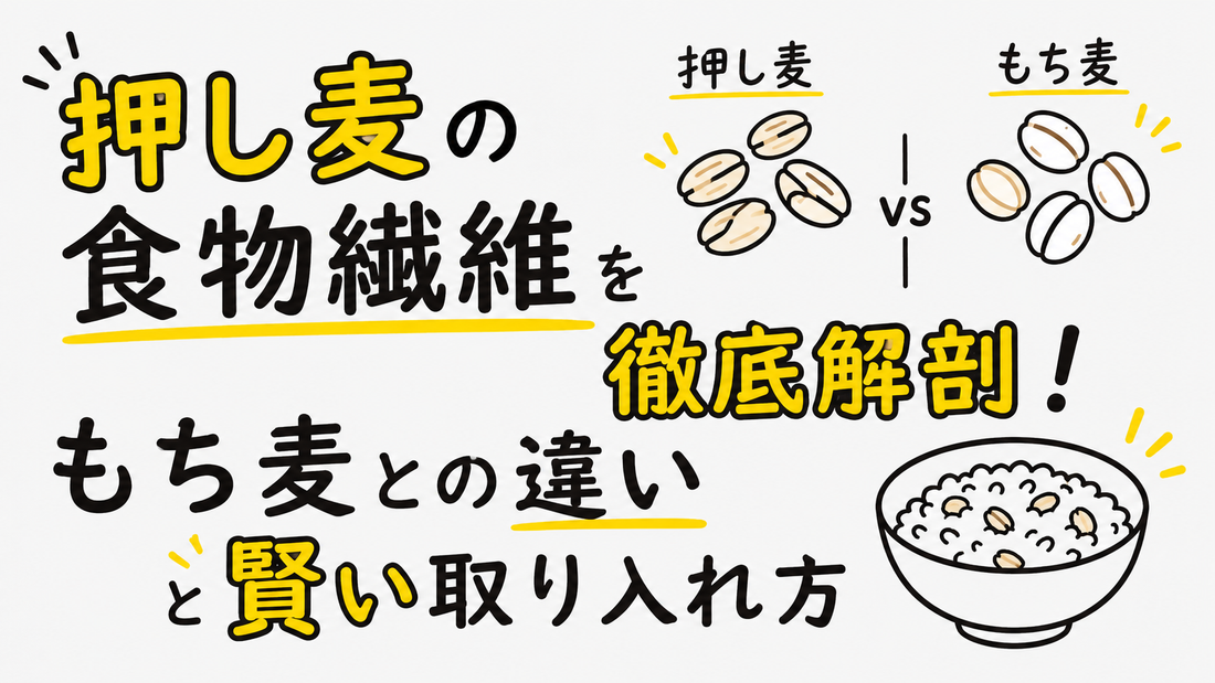 押し麦の食物繊維を徹底解剖！もち麦との違いと賢い取り入れ方