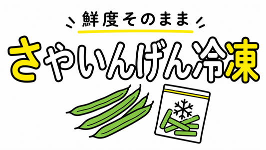 さやいんげん冷凍の正解｜鮮度を落とさず旨味を閉じ込める保存術