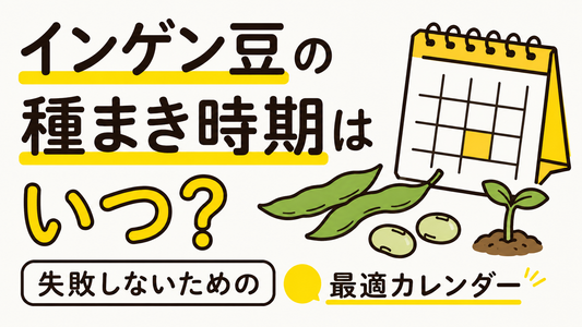 インゲン豆の種まき時期はいつ？失敗しないための最適カレンダー
