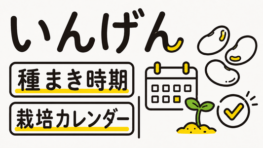 いんげんの種まき時期はいつ？失敗しない栽培カレンダーと成功の秘訣