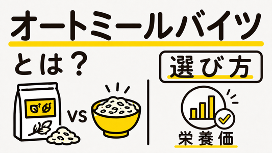 オートミールバイツとは？失敗しない選び方と栄養価の真実