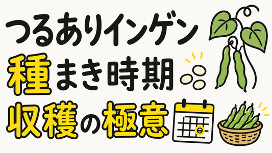 つるありインゲンの種まき時期｜失敗しない適期と収穫の極意