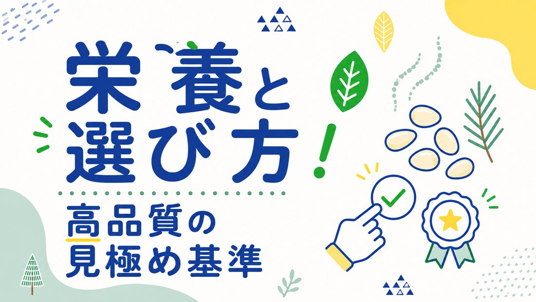 松の実の栄養と選び方｜失敗しない高品質な見極め基準