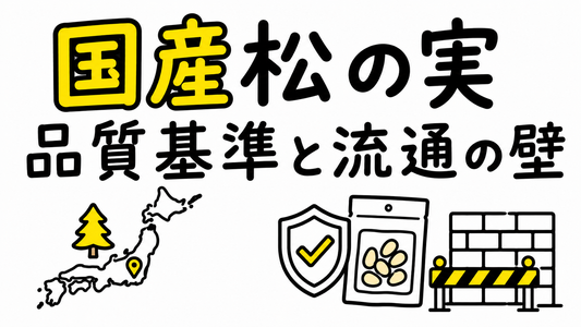 国産松の実の真実｜流通の壁と本当に選ぶべき品質基準