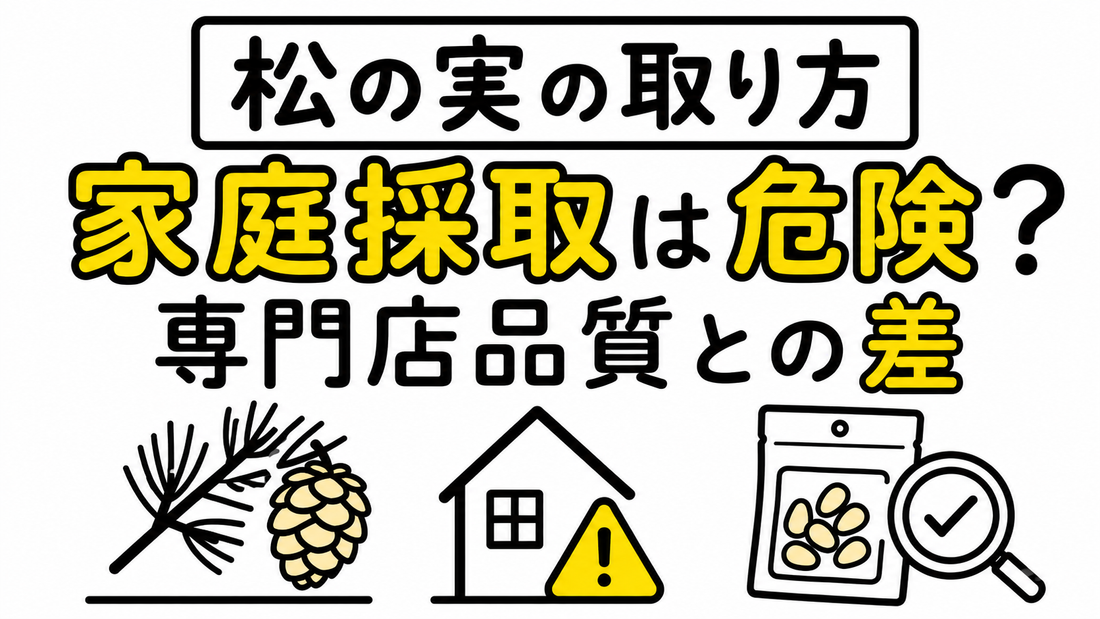 松の実の取り方｜家庭で採取するリスクと専門店品質の境界線
