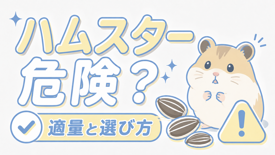 ハムスターにひまわりの種は危険？適量と選び方の正解