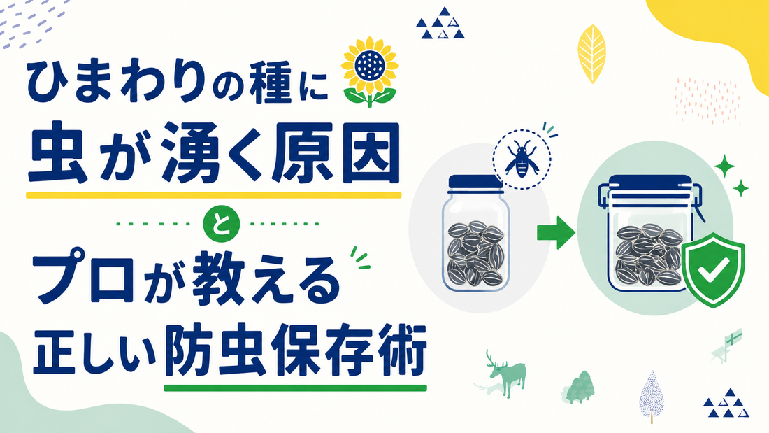 ひまわりの種に虫が湧く原因とプロが教える正しい防虫保存術