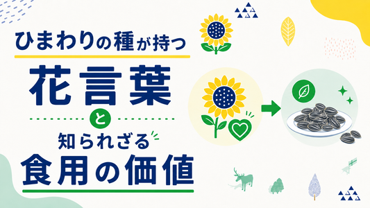 ひまわりの種が持つ花言葉と、知られざる食用としての価値